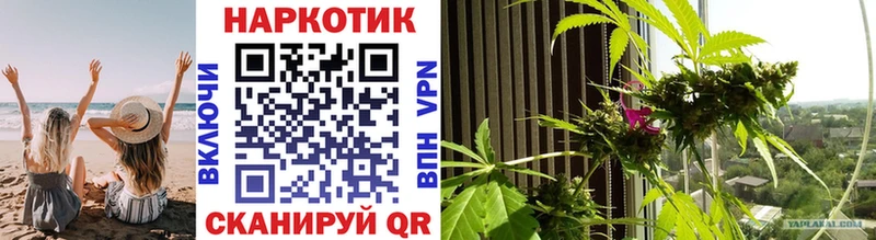 Виды наркотиков купить Чита NBOMe Alpha-PVP Канабис Галлюциногенные грибы Меф Кокаин