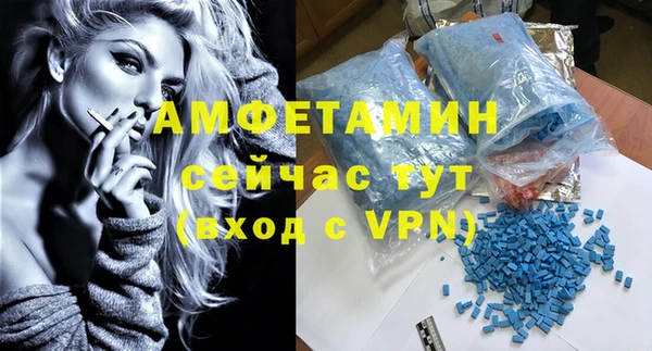 шишки Абаза