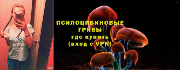 тгк Арсеньев
