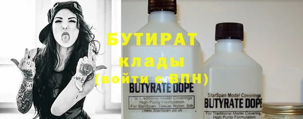 шишки Абаза