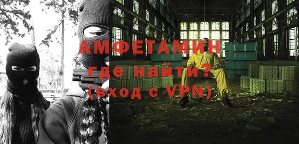 шишки Абаза