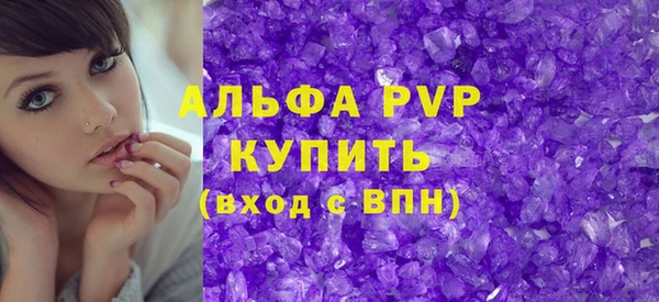 шишки Абаза
