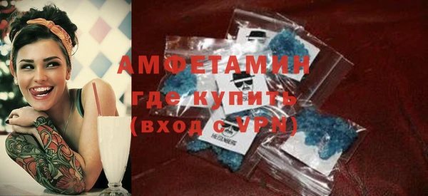 шишки Абаза