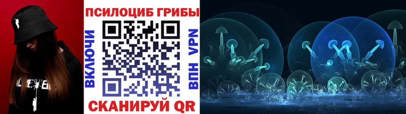 Псилоцибиновые грибы MAGIC MUSHROOMS это состав Чита