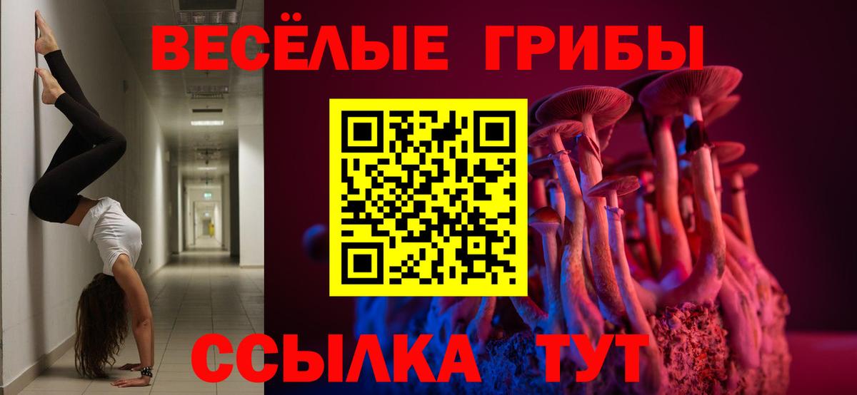 Галлюциногенные грибы прущие грибы Чита