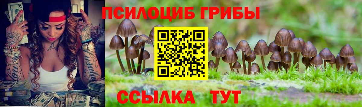 Чита  Галлюциногенные грибы мицелий  Вход с VPN  Галлюциногенные грибы GOLDEN TEACHER 