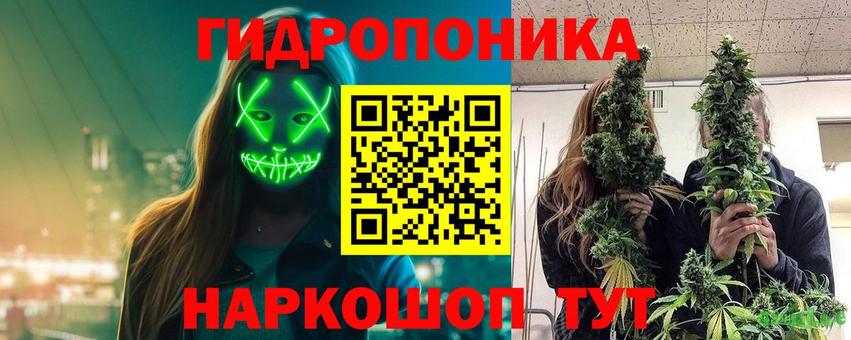 Бошки Шишки LSD WEED  Вход с VPN  МАРИХУАНА тримм  Каннабис планчик  Чита 